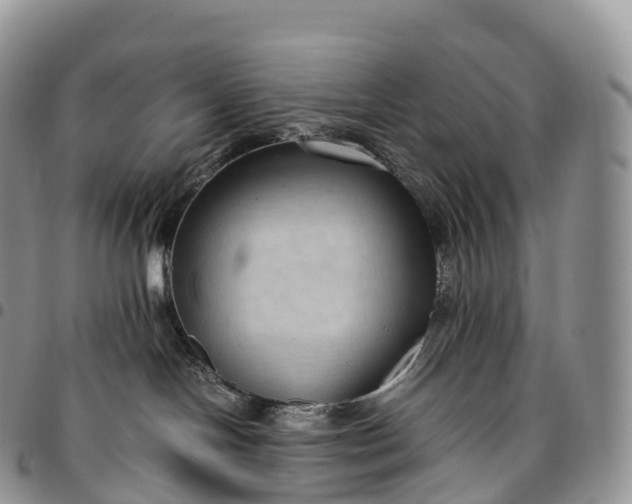 X0000094800094200711301549