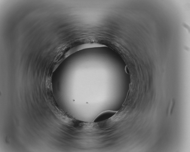 X0000094800096200711301549