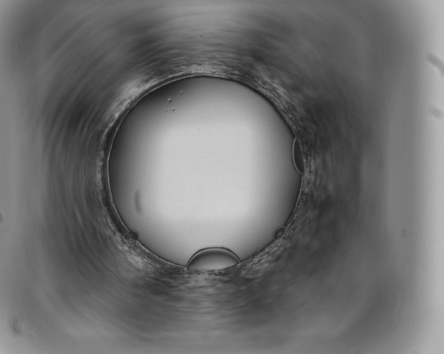 X0000094800098200711301548