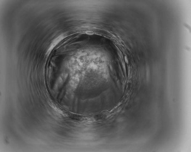 X0000094800099200711301548