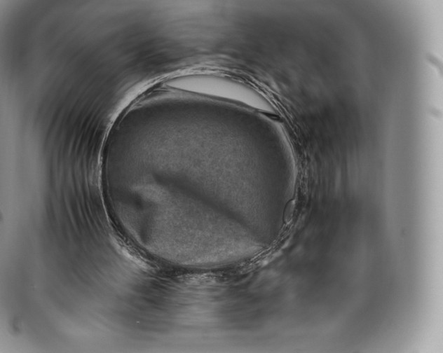 X0000094800100200711301548