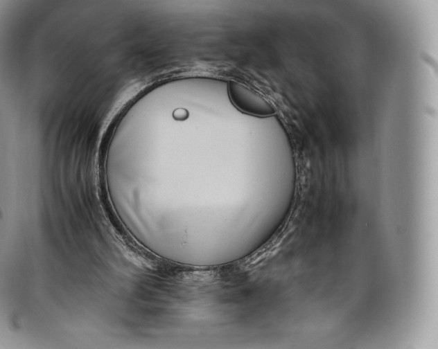 X0000094800102200711301548