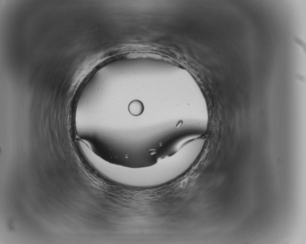 X0000094800103200711301548