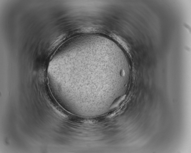 X0000094800105200711301548