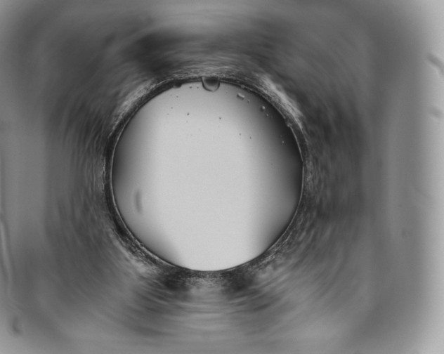 X0000094800107200711301548