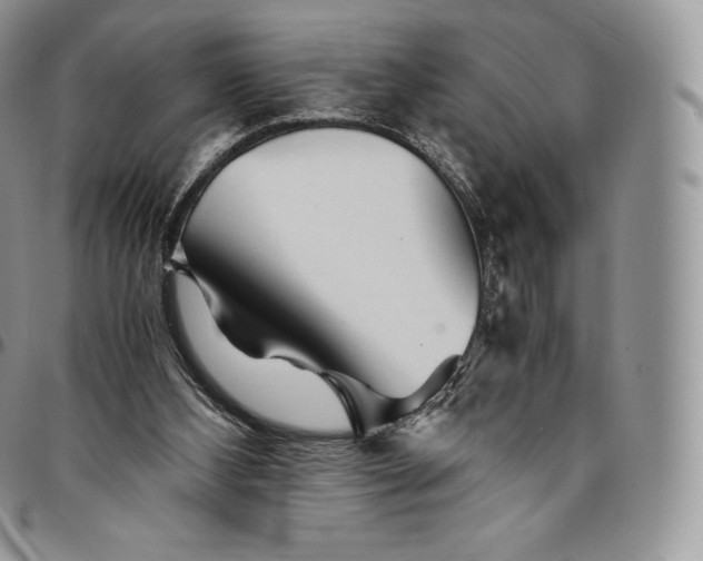 X0000094800108200711301548