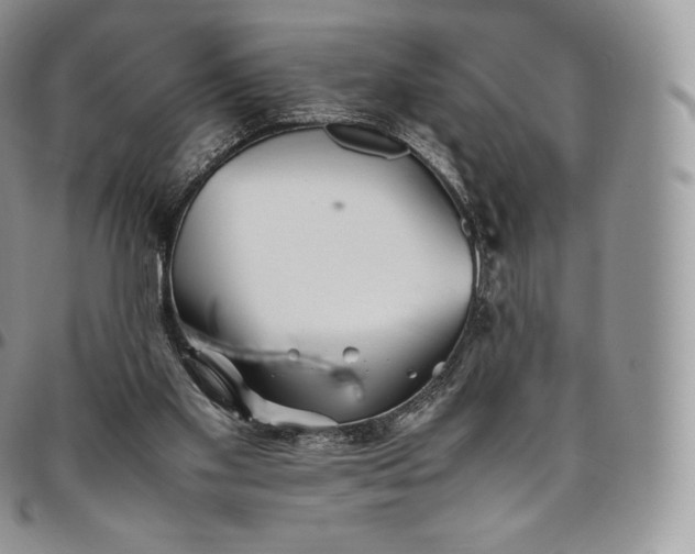 X0000094800109200711301548