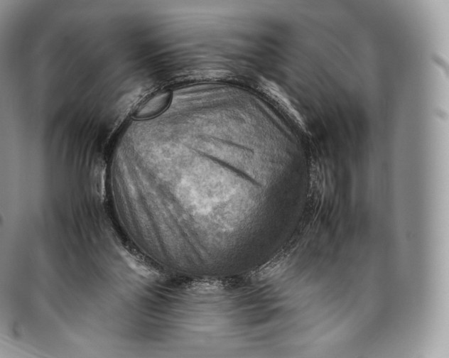 X0000094800110200711301548