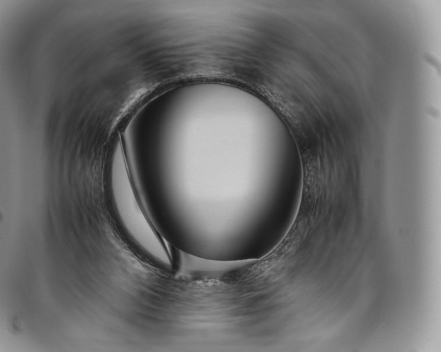 X0000094800112200711301548