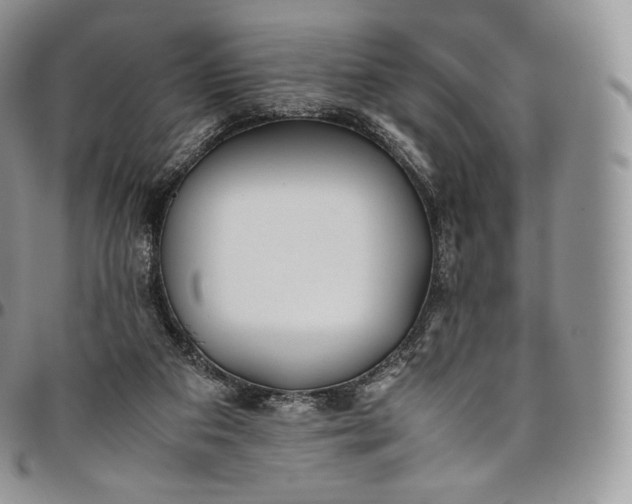 X0000094800113200711301548