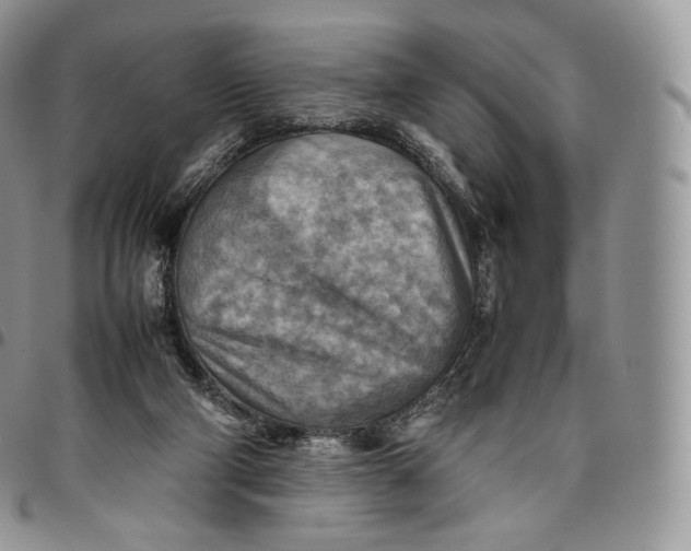 X0000094800114200711301548