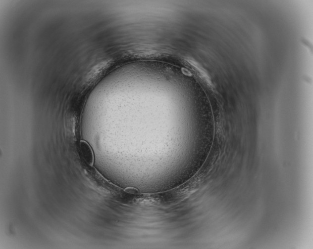 X0000094800115200711301548