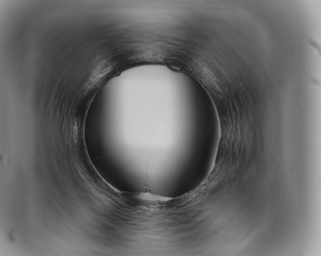 X0000094800120200711301548