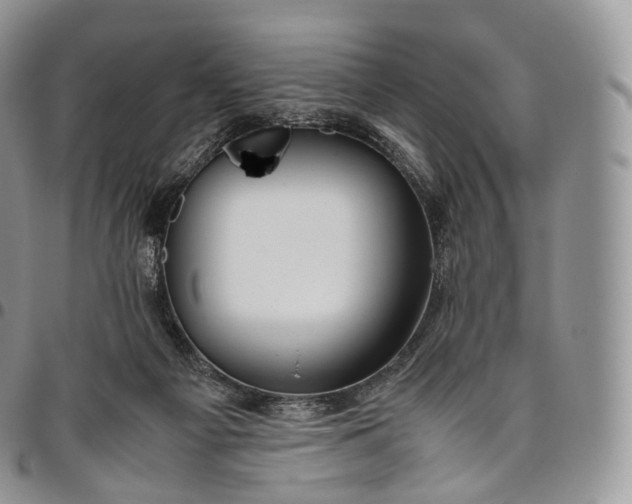 X0000094800121200711301548