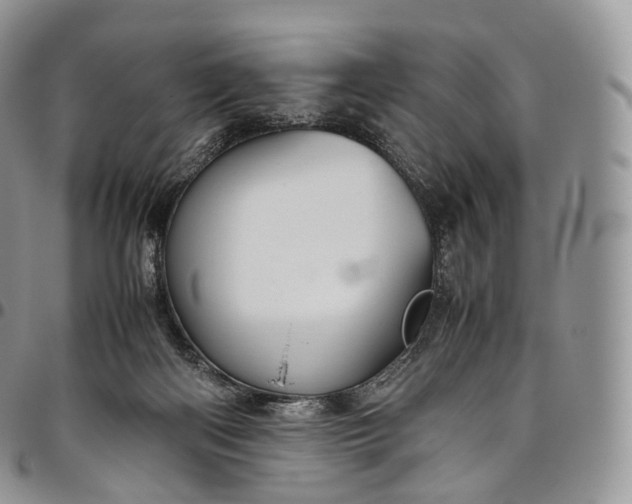 X0000094800122200711301548