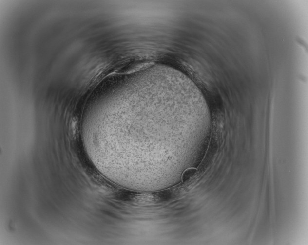 X0000094800123200711301548