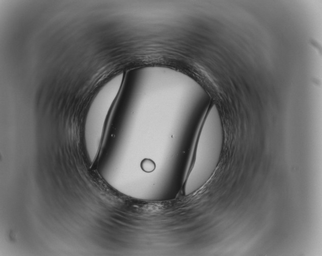 X0000094800124200711301548