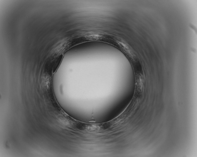 X0000094800125200711301548