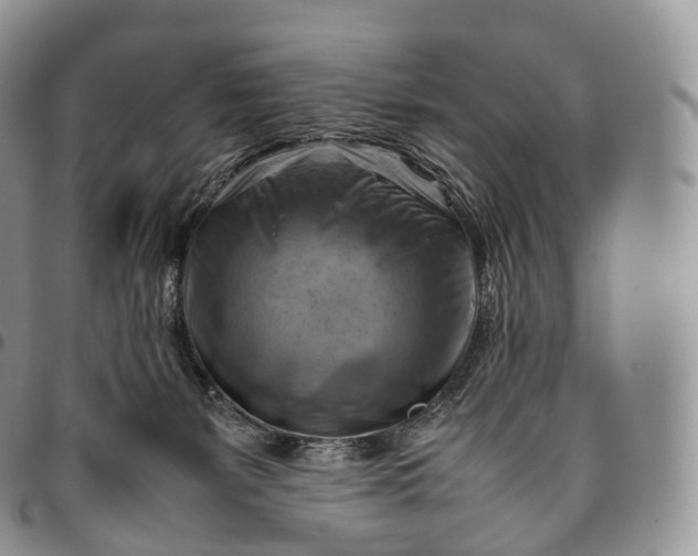 X0000094800127200711301548