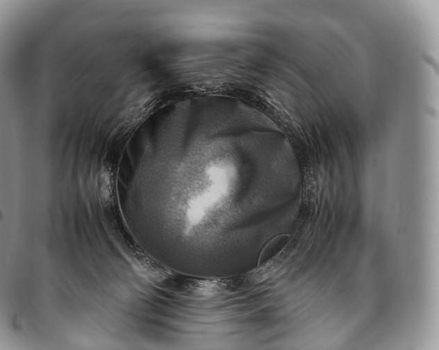 X0000094800130200711301548