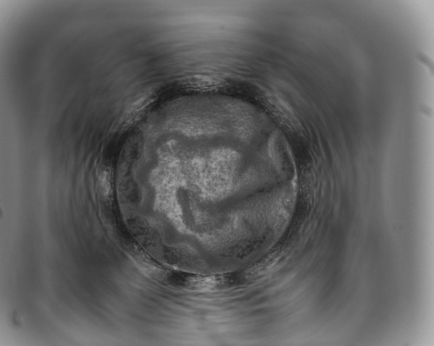 X0000094800131200711301548