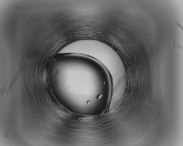 X0000094800132200711301548