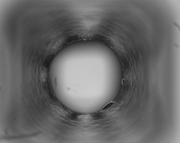 X0000094800133200711301548