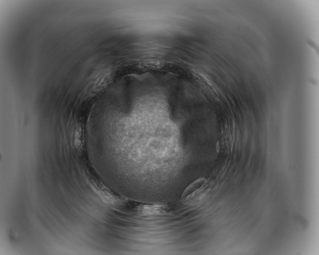 X0000094800134200711301548