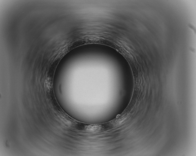 X0000094800135200711301548