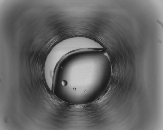 X0000094800140200711301548