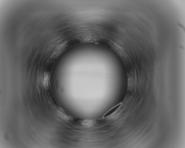 X0000094800142200711301548