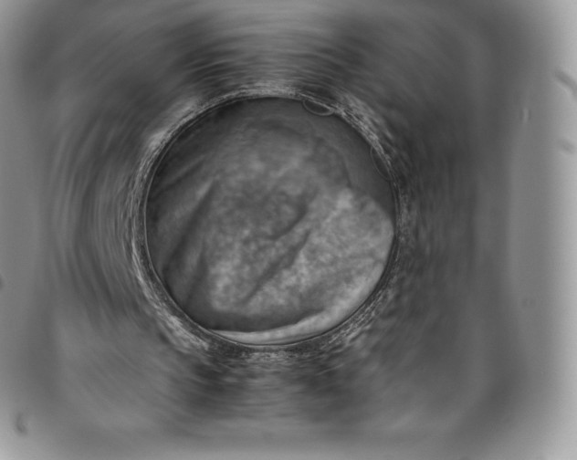 X0000094800145200711301547