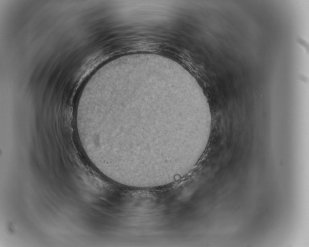 X0000094800146200711301547