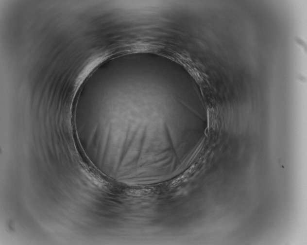 X0000094800147200711301547