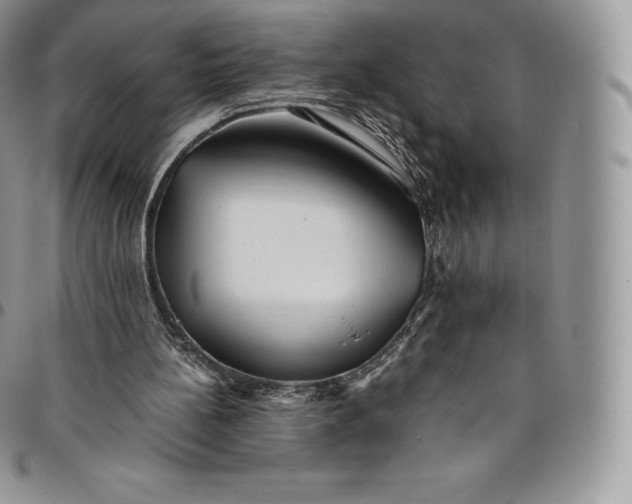 X0000094800148200711301547