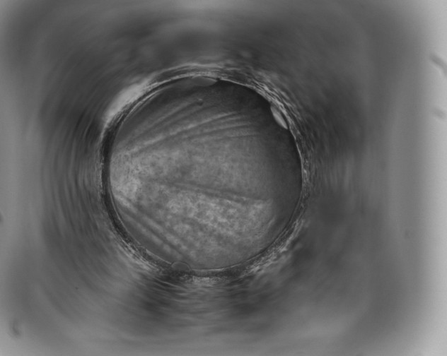 X0000094800149200711301547