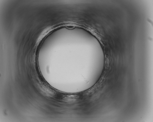 X0000094800151200711301547