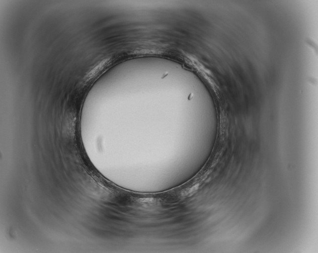 X0000094800153200711301547