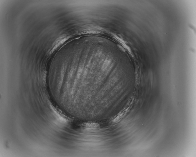 X0000094800154200711301547