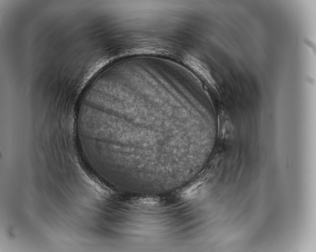 X0000094800156200711301547