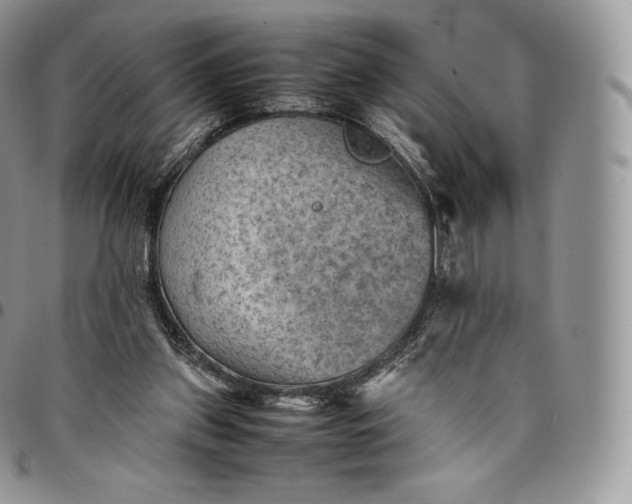 X0000094800157200711301547