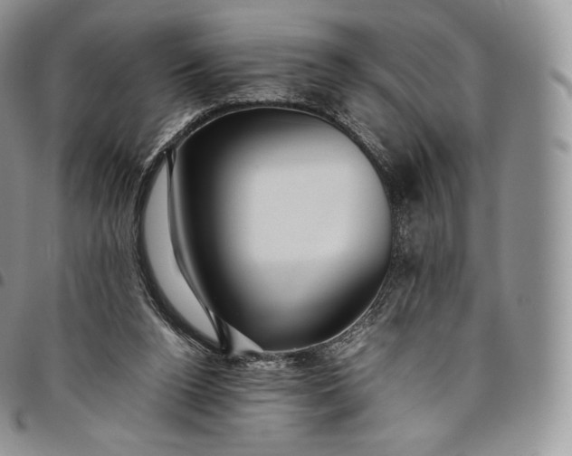 X0000094800160200711301547