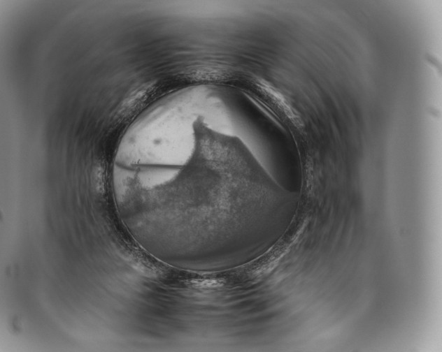 X0000094800161200711301547