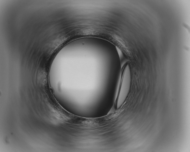 X0000094800164200711301547