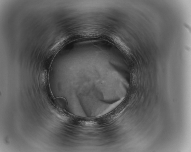 X0000094800165200711301547