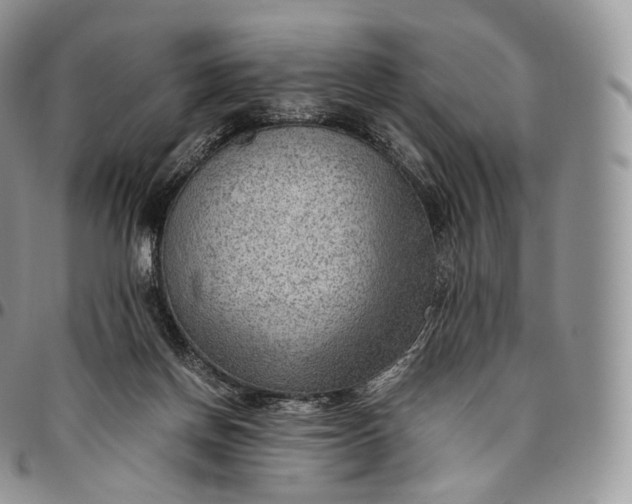 X0000094800166200711301547