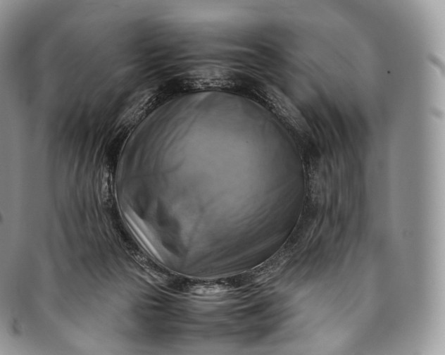 X0000094800169200711301547