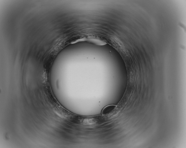 X0000094800173200711301547