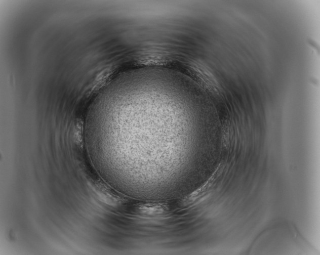 X0000094800175200711301547