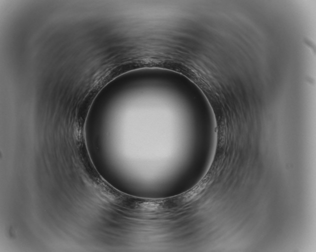 X0000094800176200711301547